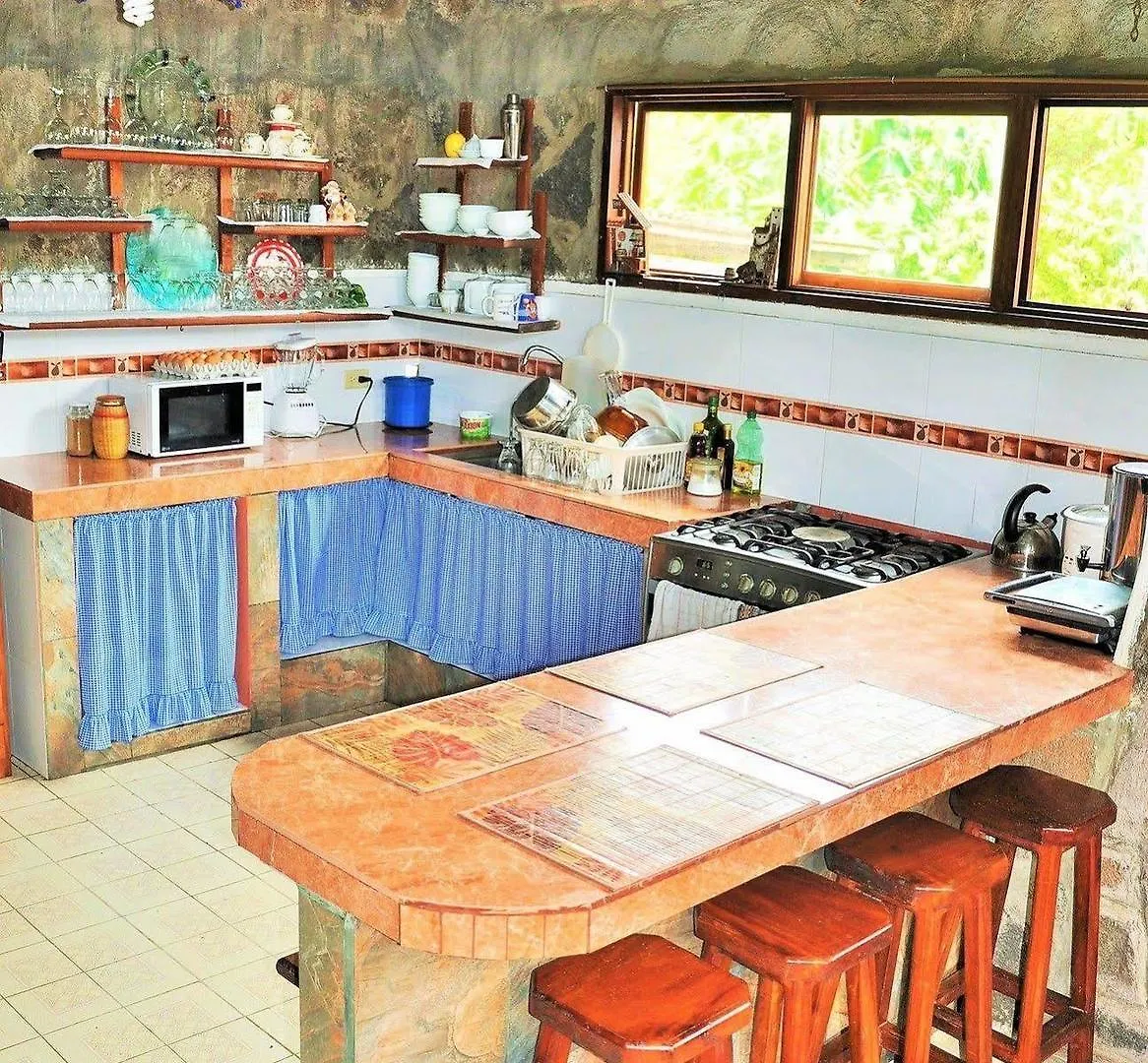 Lava House Hostal Puerto Ayora  Puerto Ayora (Galapagos Islands)